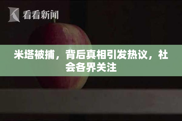 米塔被捕，背后真相引发热议，社会各界关注