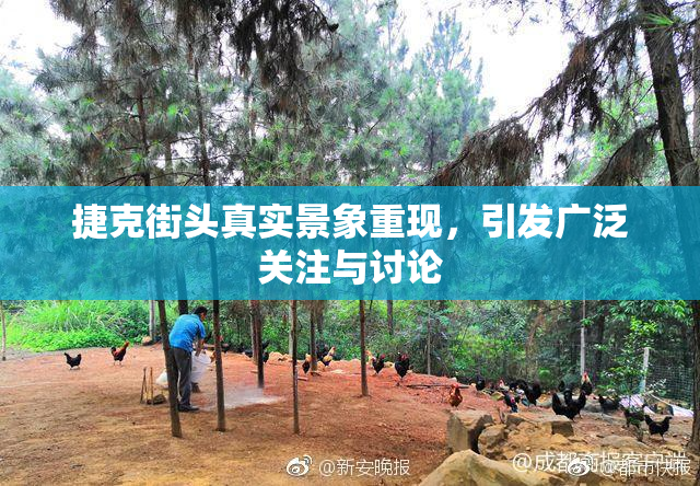 捷克街头真实景象重现，引发广泛关注与讨论