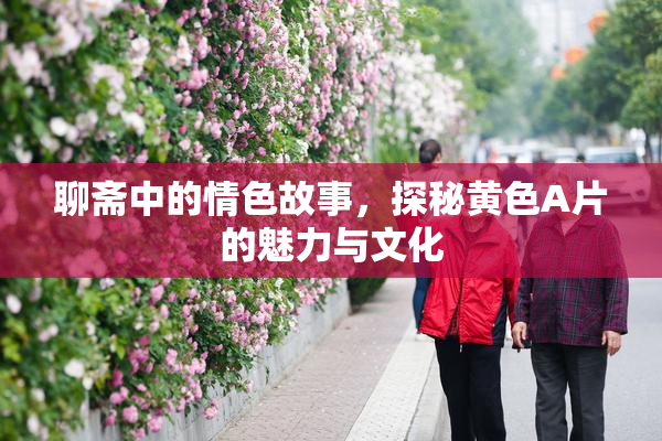 聊斋中的情色故事，探秘黄色A片的魅力与文化