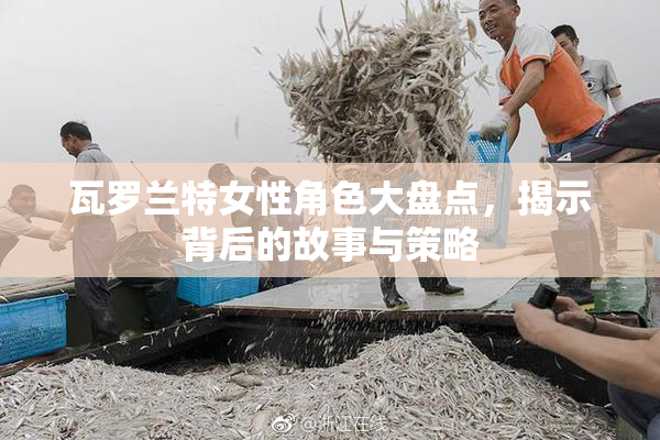瓦罗兰特女性角色大盘点，揭示背后的故事与策略