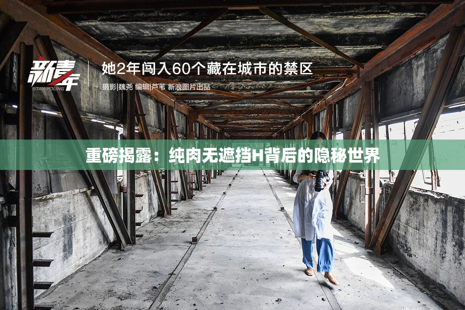 重磅揭露：纯肉无遮挡H背后的隐秘世界