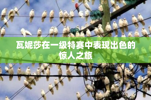 瓦妮莎在一级特赛中表现出色的惊人之旅