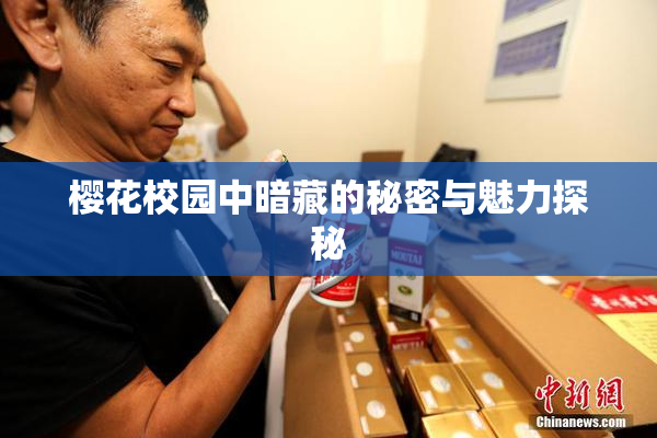樱花校园中暗藏的秘密与魅力探秘
