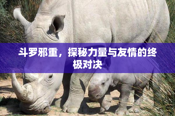 斗罗邪重，探秘力量与友情的终极对决