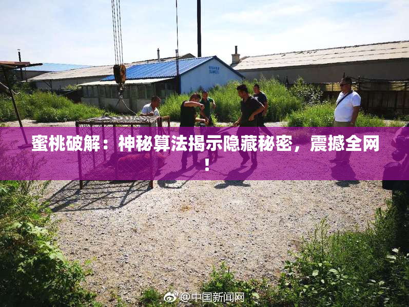 蜜桃破解：神秘算法揭示隐藏秘密，震撼全网！