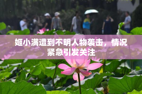 姬小满遭到不明人物袭击，情况紧急引发关注