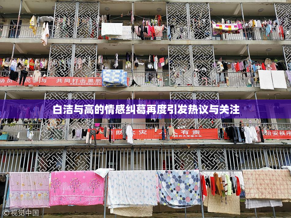 白洁与高的情感纠葛再度引发热议与关注
