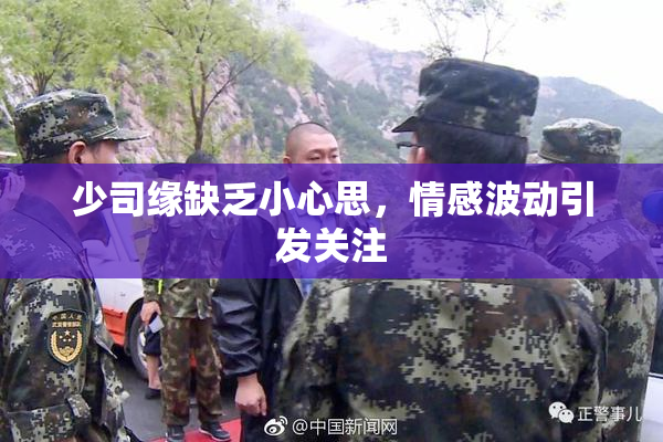 少司缘缺乏小心思，情感波动引发关注