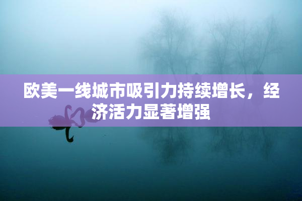 欧美一线城市吸引力持续增长，经济活力显著增强