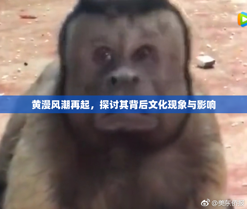 黄漫风潮再起，探讨其背后文化现象与影响