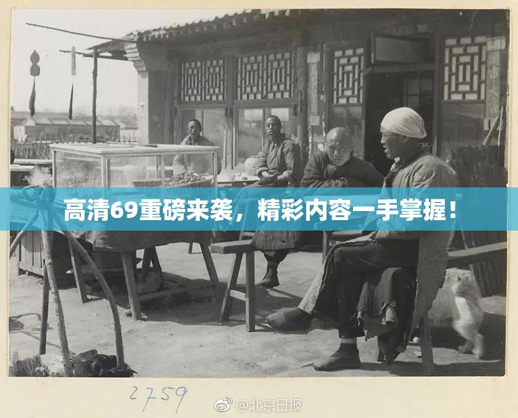 高清69重磅来袭，精彩内容一手掌握！