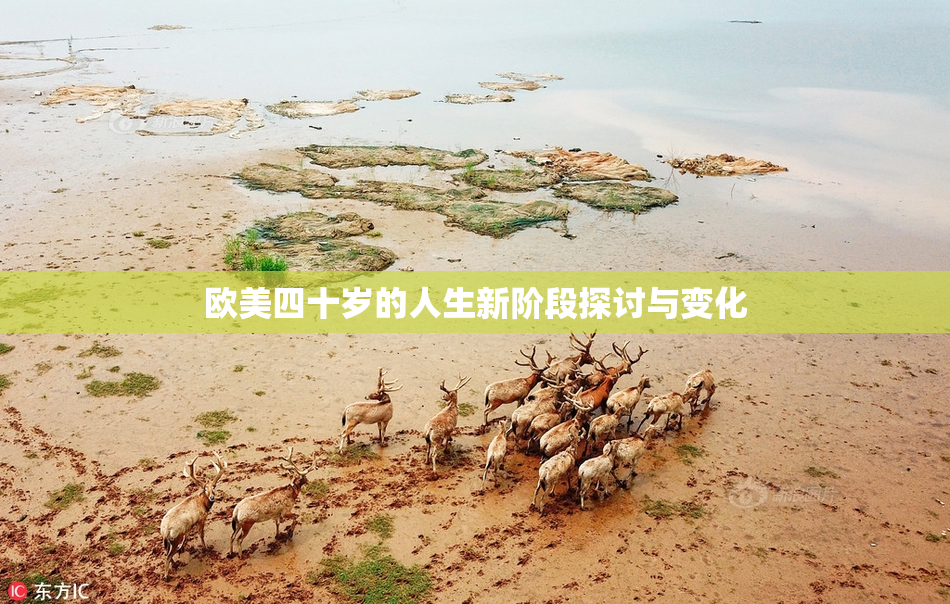 欧美四十岁的人生新阶段探讨与变化