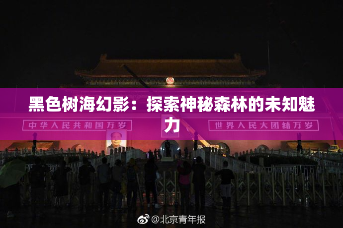 黑色树海幻影：探索神秘森林的未知魅力