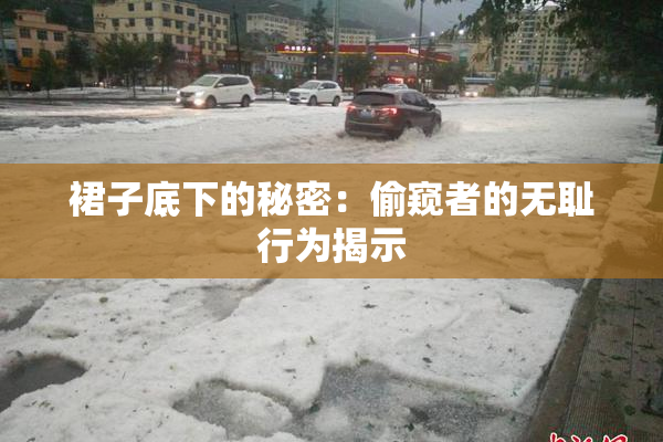 裙子底下的秘密：偷窥者的无耻行为揭示