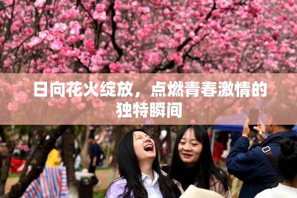 日向花火绽放，点燃青春激情的独特瞬间