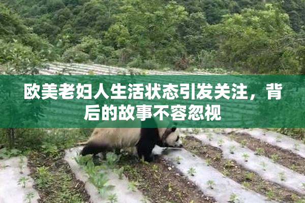 欧美老妇人生活状态引发关注，背后的故事不容忽视