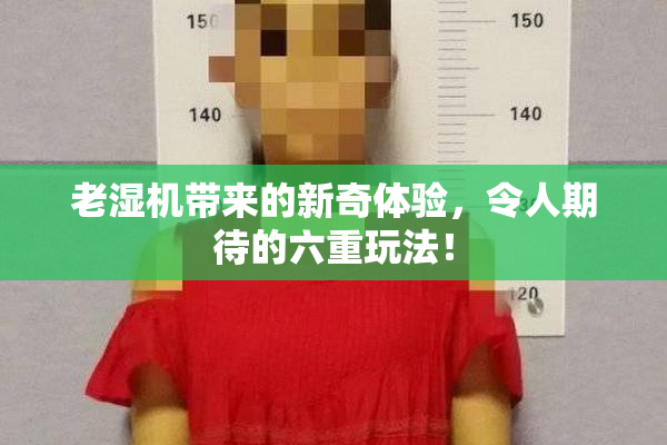 老湿机带来的新奇体验，令人期待的六重玩法！