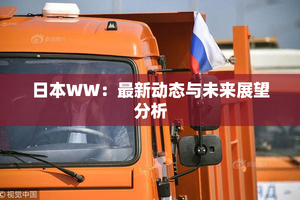 日本WW：最新动态与未来展望分析
