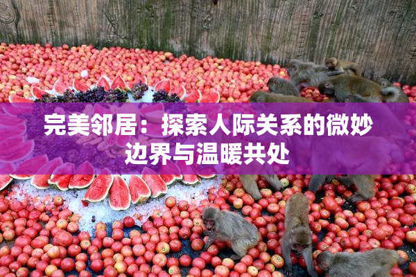 完美邻居：探索人际关系的微妙边界与温暖共处