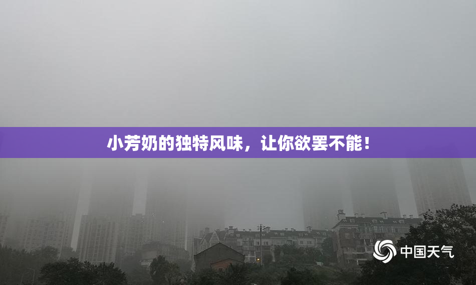 小芳奶的独特风味，让你欲罢不能！