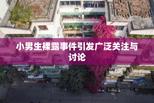 小男生裸露事件引发广泛关注与讨论