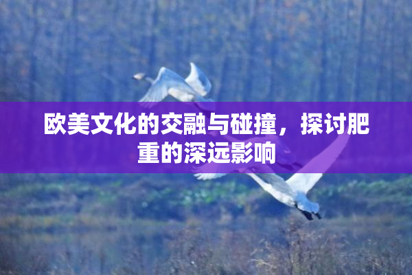 欧美文化的交融与碰撞，探讨肥重的深远影响