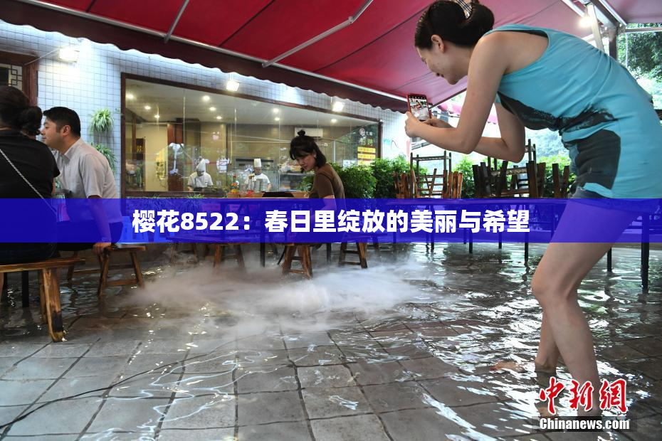 樱花8522：春日里绽放的美丽与希望