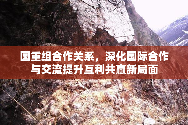 国重组合作关系，深化国际合作与交流提升互利共赢新局面