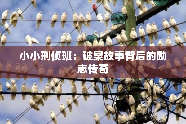 小小刑侦班：破案故事背后的励志传奇