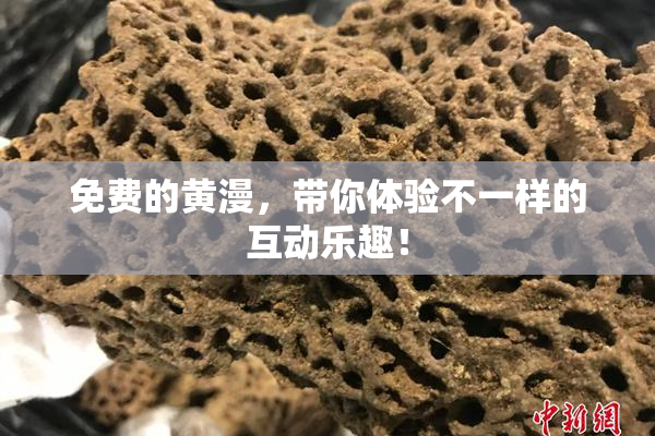 免费的黄漫，带你体验不一样的互动乐趣！