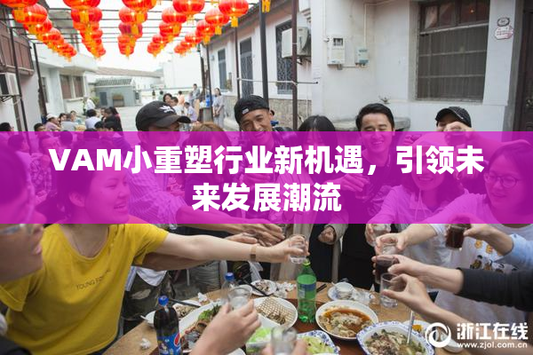 VAM小重塑行业新机遇，引领未来发展潮流