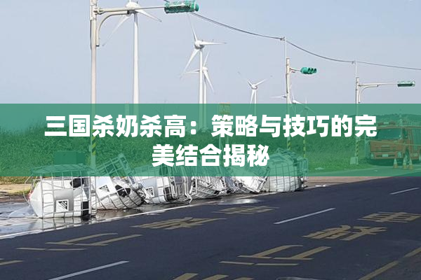 三国杀奶杀高：策略与技巧的完美结合揭秘
