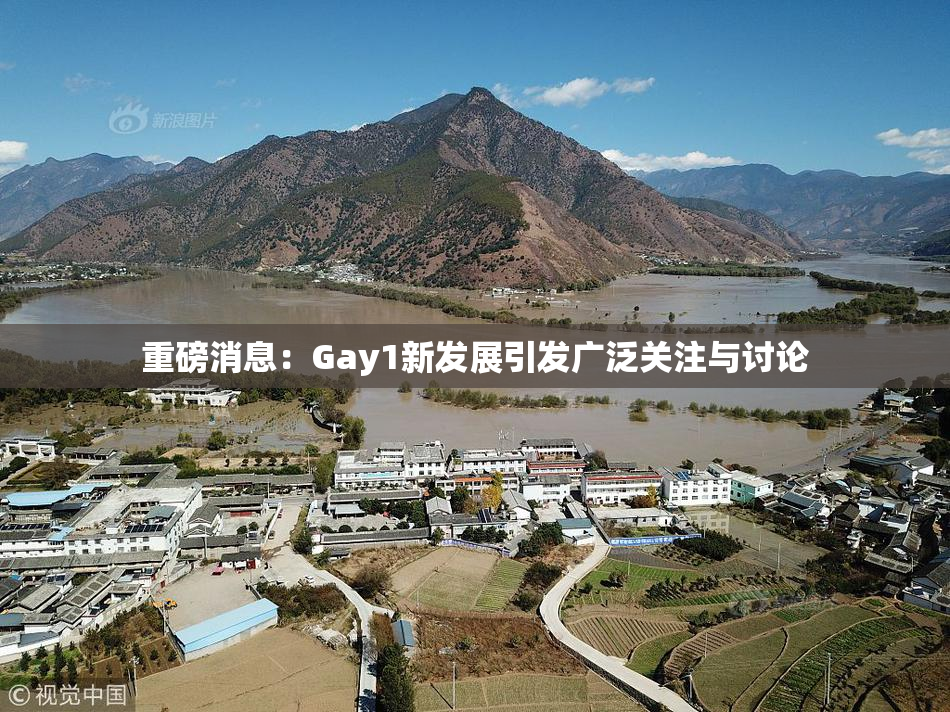 重磅消息：Gay1新发展引发广泛关注与讨论