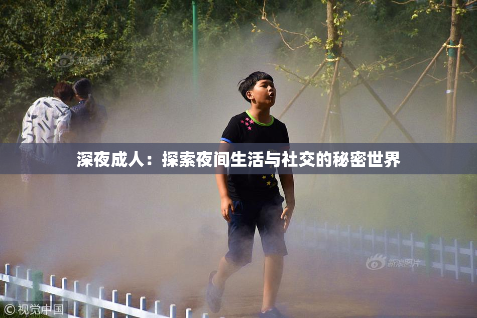 深夜成人：探索夜间生活与社交的秘密世界