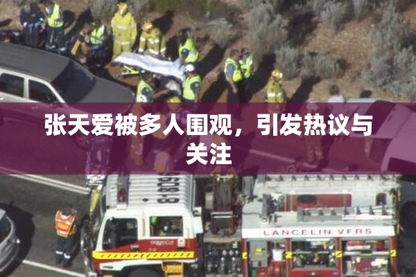 张天爱被多人围观，引发热议与关注