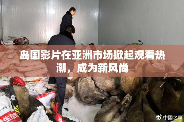 岛国影片在亚洲市场掀起观看热潮，成为新风尚