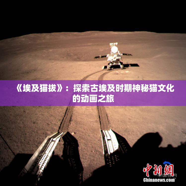 《埃及猫拔》：探索古埃及时期神秘猫文化的动画之旅