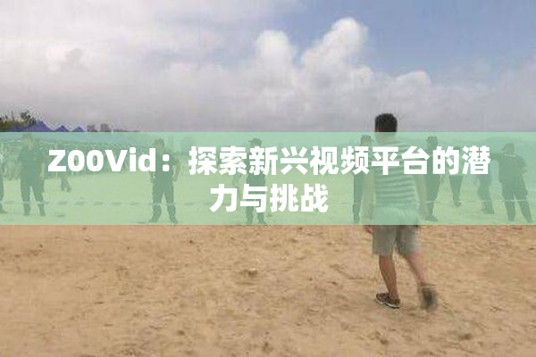 Z00Vid：探索新兴视频平台的潜力与挑战