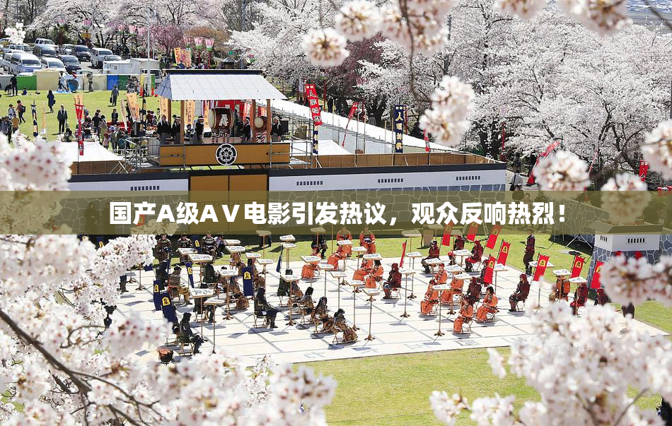 国产A级AⅤ电影引发热议，观众反响热烈！