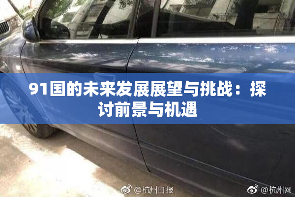 91国的未来发展展望与挑战：探讨前景与机遇