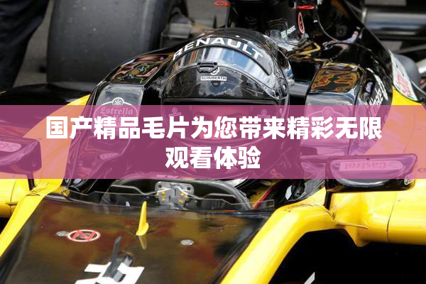 国产精品毛片为您带来精彩无限观看体验