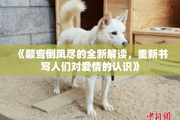 《颠鸾倒凤尽的全新解读，重新书写人们对爱情的认识》