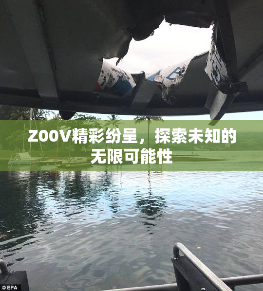 Z00V精彩纷呈，探索未知的无限可能性