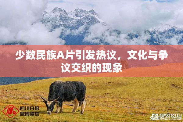 少数民族A片引发热议，文化与争议交织的现象