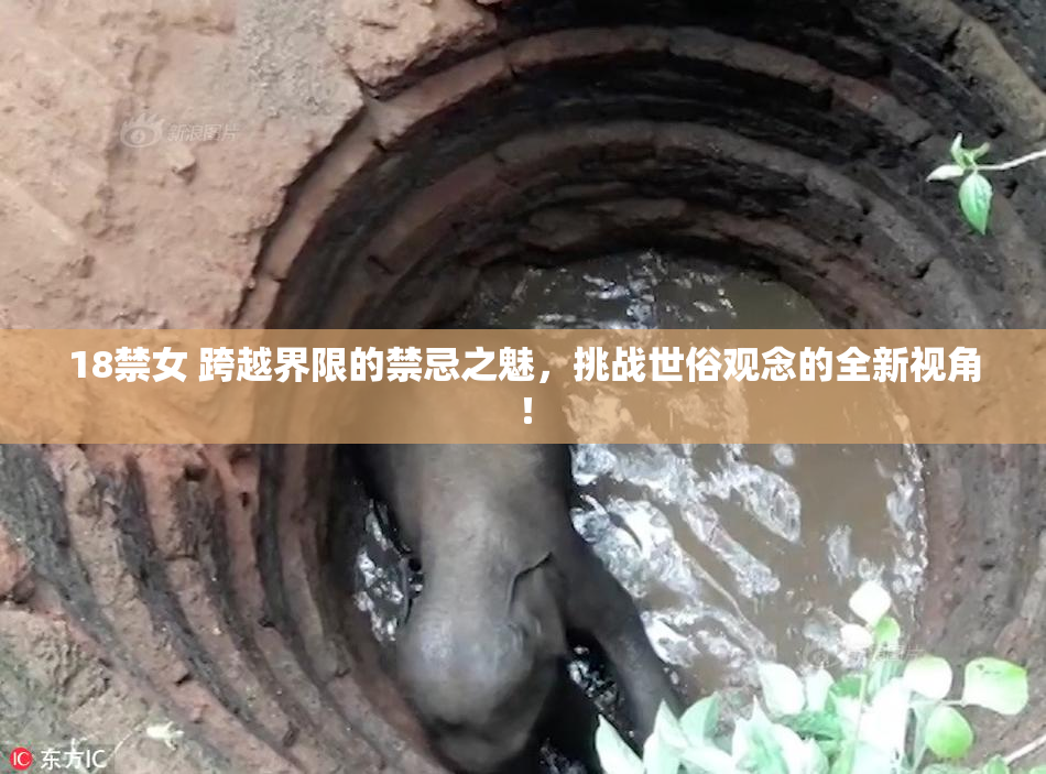 18禁女 跨越界限的禁忌之魅，挑战世俗观念的全新视角！