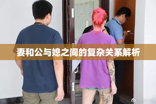 妻和公与媳之间的复杂关系解析