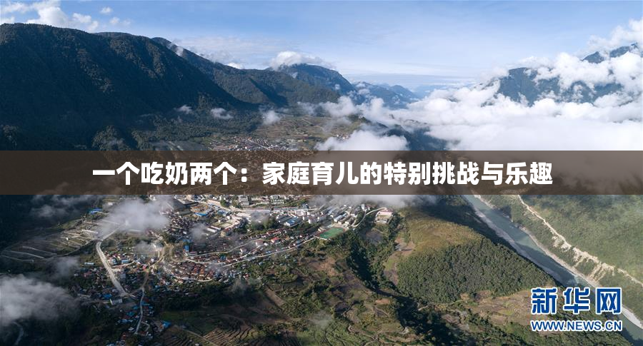 一个吃奶两个：家庭育儿的特别挑战与乐趣