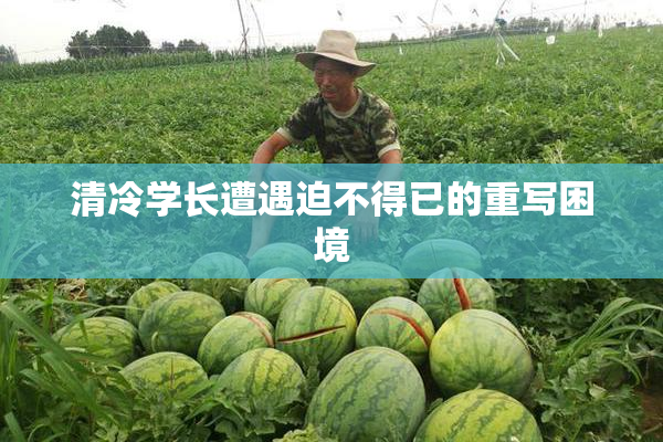 清冷学长遭遇迫不得已的重写困境