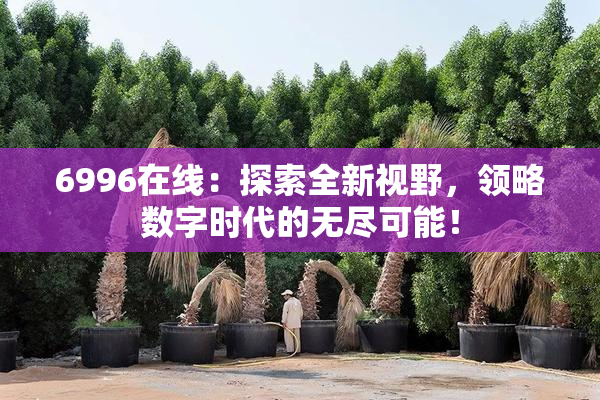6996在线：探索全新视野，领略数字时代的无尽可能！