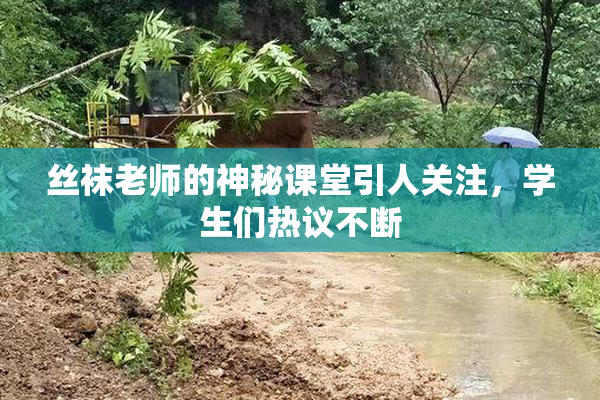 丝袜老师的神秘课堂引人关注，学生们热议不断
